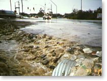 Albertson's Drainage Structure/Tucson