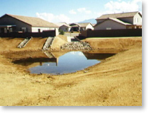 North Starr Rentention Basin and Slopes